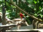imgp7547_small.jpg