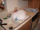 imgp5578_small.jpg